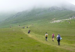 Alegaciones con sello registro 2 181-2