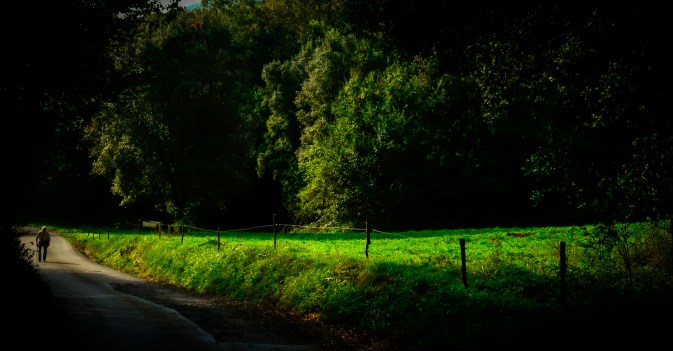 Avi amb bastó (1 de 1) - copia