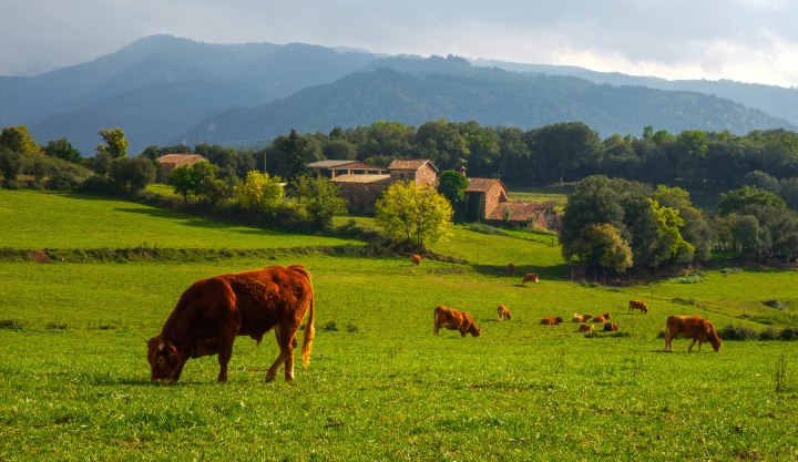 sin título (1 de 1)-11