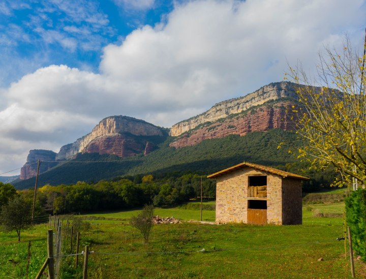 sin título (1 de 1)-15