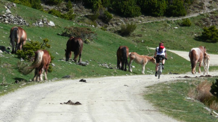 sin título (1 de 1)-2