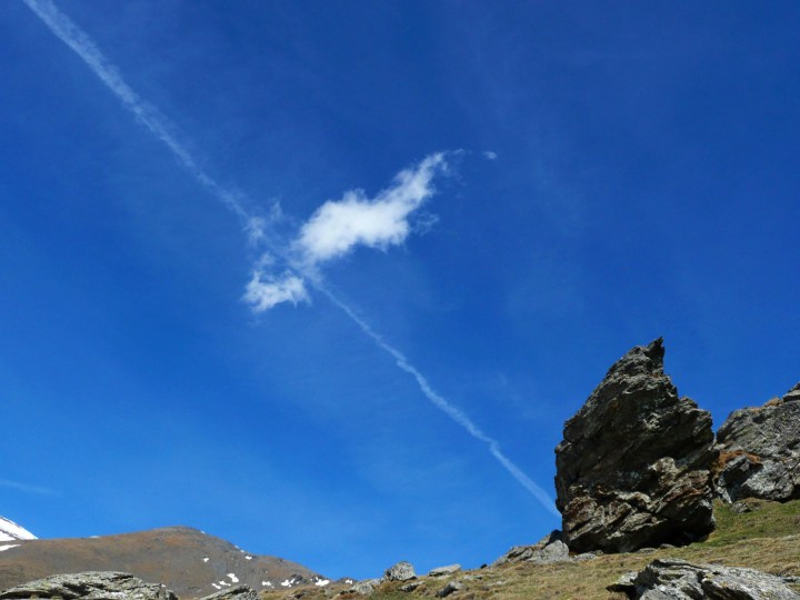 sin título (1 de 1)-4