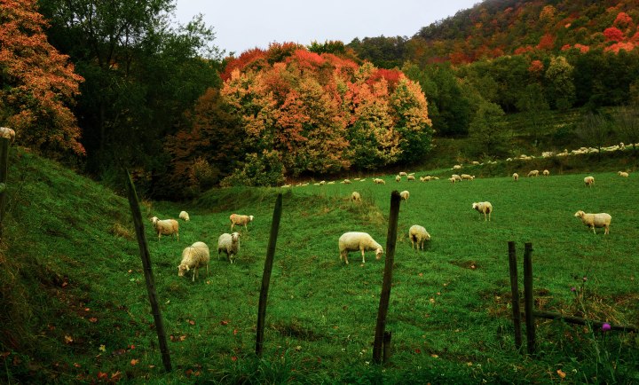 sin título (1 de 1)