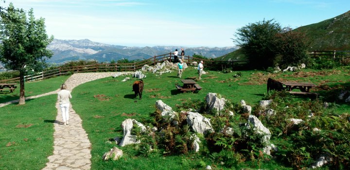 sin título (8 de 21)