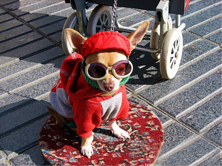 img_4450-1600x1200-2