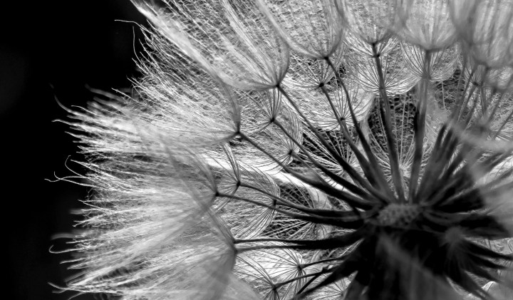 DSCF5622a-2 - copia - copia