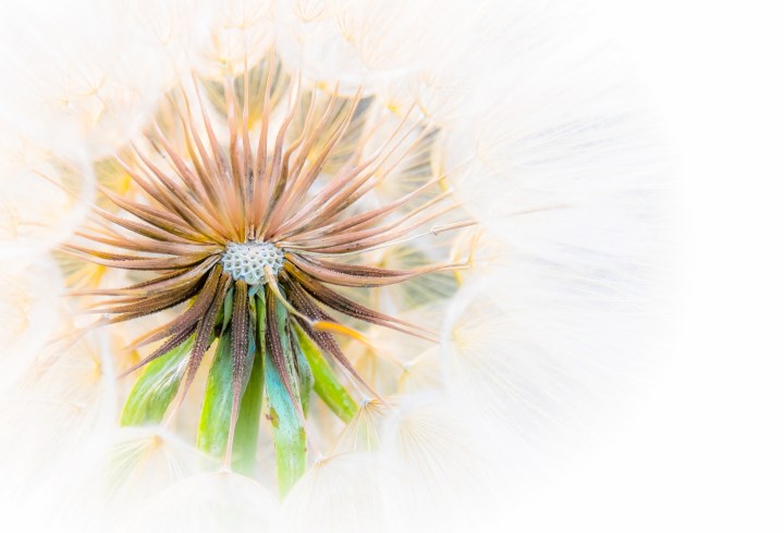 DSCF5639-6 - copia - copia