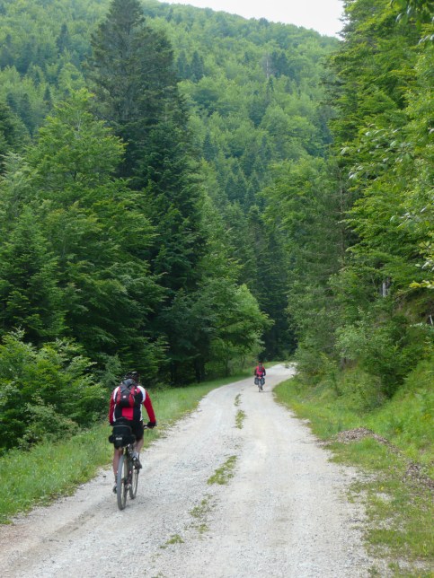 Alegaciones con sello registro 2 086