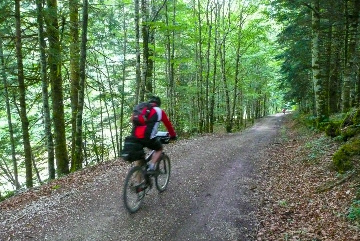 Alegaciones con sello registro 2 101