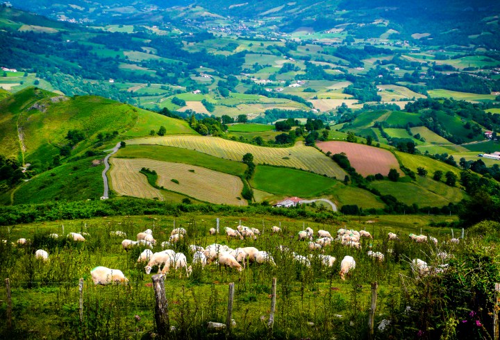 País vasco francés, (Pyrenees-Atlantiques)